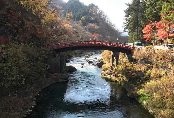 神橋の写真・動画_image_396055