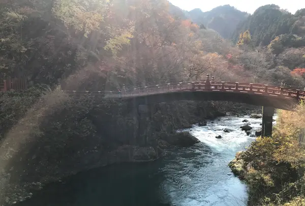 神橋の写真・動画_image_396056