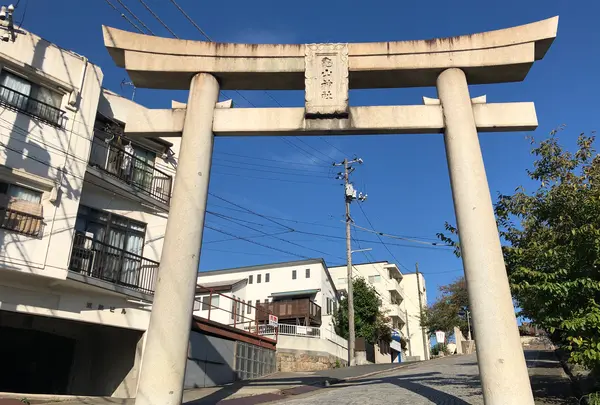 亀山神社の写真・動画_image_396907