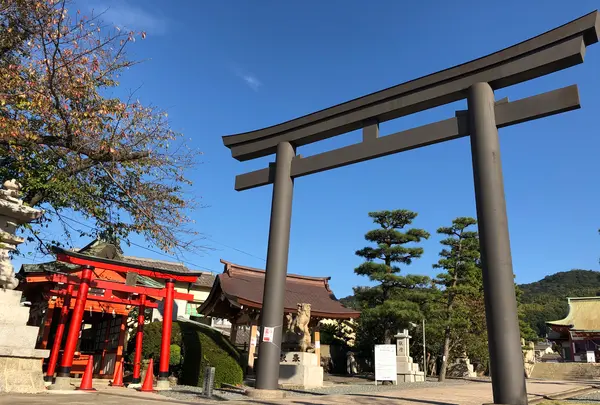 亀山神社の写真・動画_image_396910