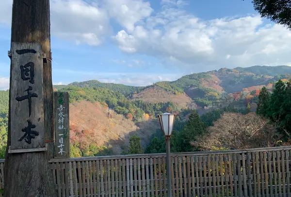吉水神社の写真・動画_image_398856