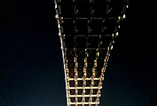 錦帯橋の写真・動画_image_399527