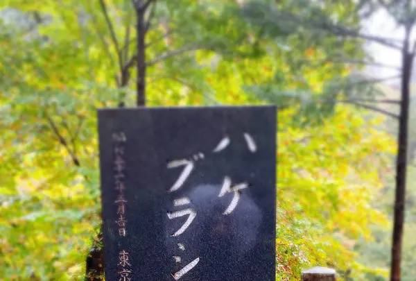 榛名神社の写真・動画_image_401803