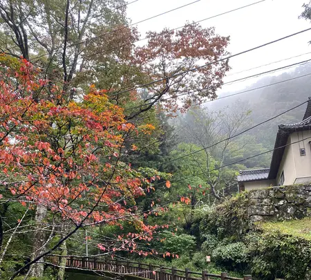 榛名神社の写真・動画_image_401806