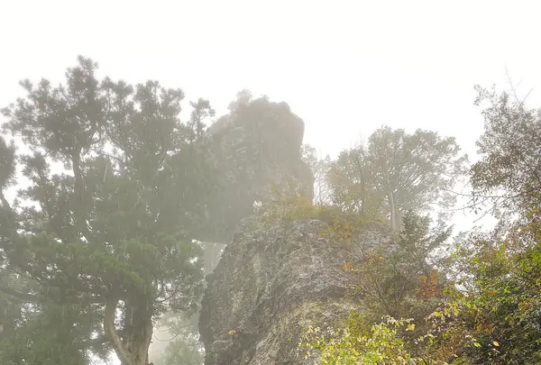 榛名神社の写真・動画_image_401814