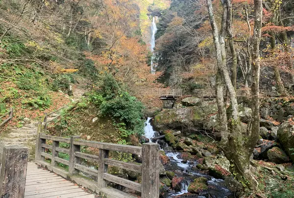 神庭の滝の写真・動画_image_403822