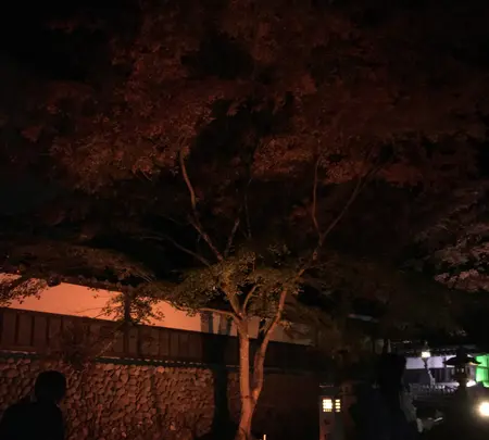法多山尊永寺の写真・動画_image_404841