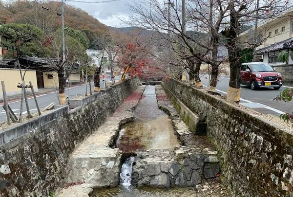 紺屋川美観地区の写真・動画_image_405194