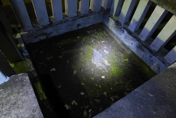立石稲荷神社（立石様）の写真・動画_image_405301