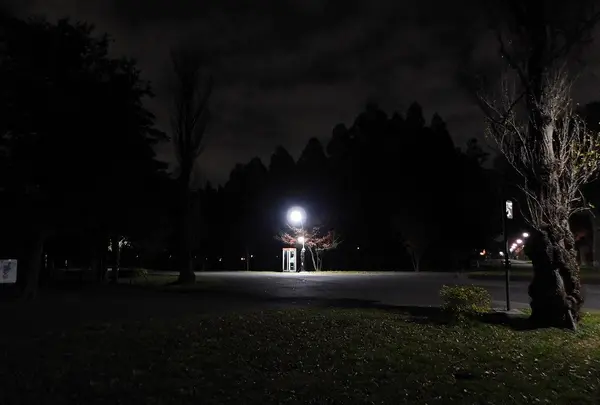 水元公園の写真・動画_image_405304