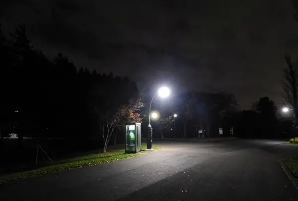 水元公園の写真・動画_image_405311