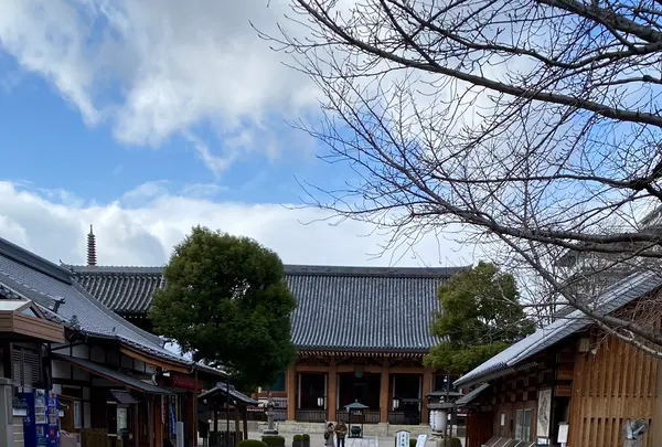 壬生寺の写真・動画_image_406187