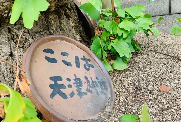 天津神社の写真・動画_image_407810