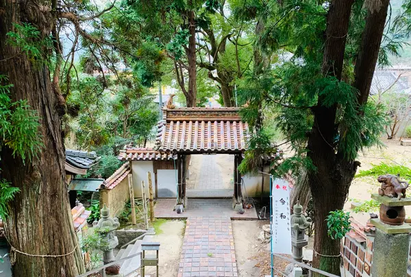天津神社の写真・動画_image_407811
