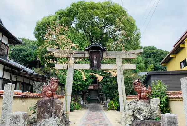 天津神社の写真・動画_image_407812