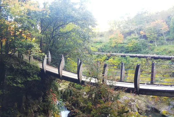 下城滝の写真・動画_image_407969