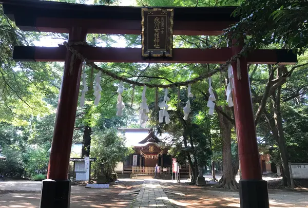 氷川女体神社の写真・動画_image_408703