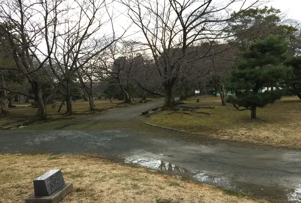 福岡城 本丸御殿跡の写真・動画_image_410101