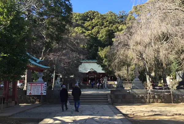 伊豆山神社の写真・動画_image_413405