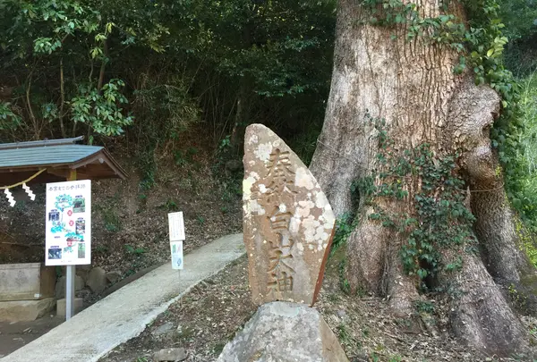 伊豆山神社の写真・動画_image_413408