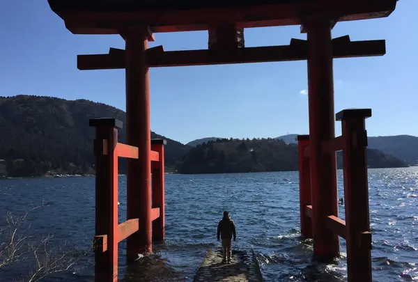 箱根神社の写真・動画_image_413414