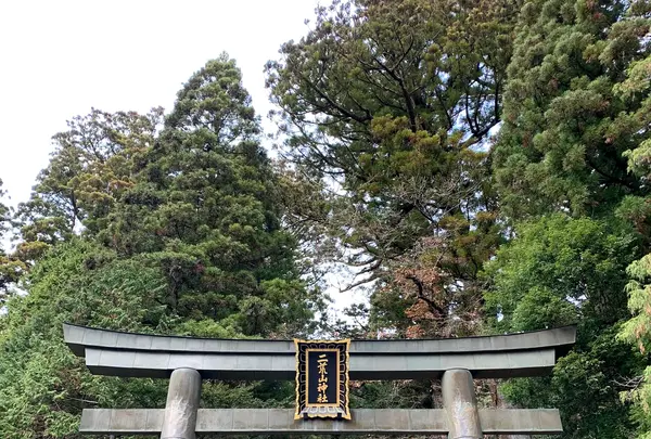 日光二荒山神社の写真・動画_image_414809