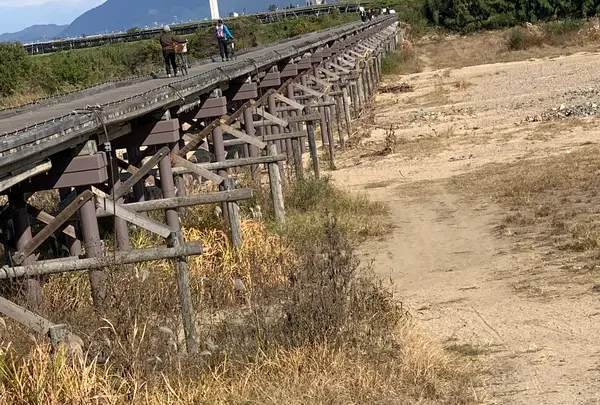 流れ橋（上津屋橋）の写真・動画_image_414862