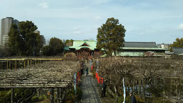 亀戸天神社の写真・動画_image_416010