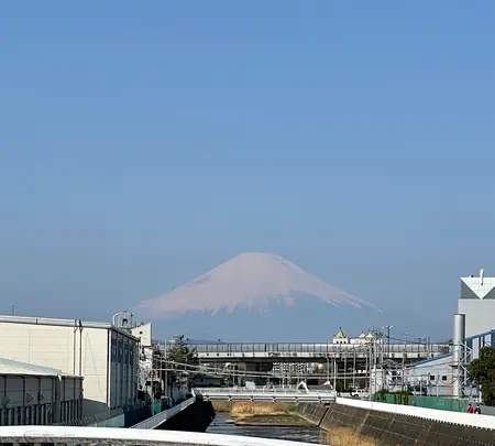 東海道南湖左富士之碑の写真・動画_image_416488