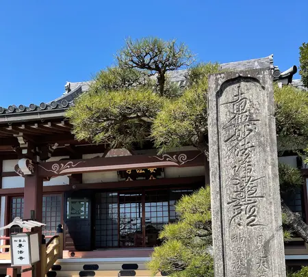 松雲山要法寺の写真・動画_image_416544