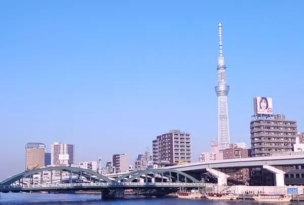 TOKYO-W-INN Asakusaの写真・動画_image_416600