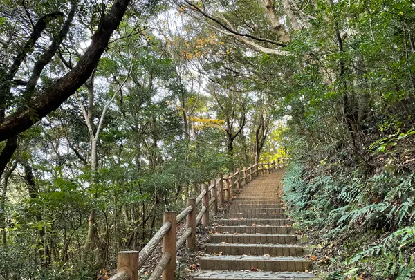 千尋の滝の写真・動画_image_417180
