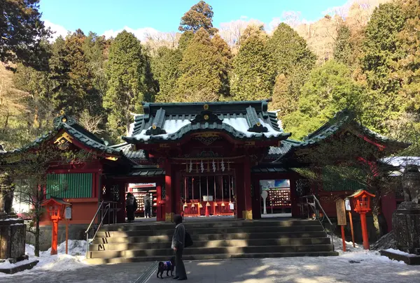 箱根神社の写真・動画_image_417239