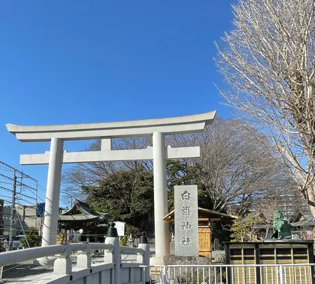 白旗神社の写真・動画_image_417267