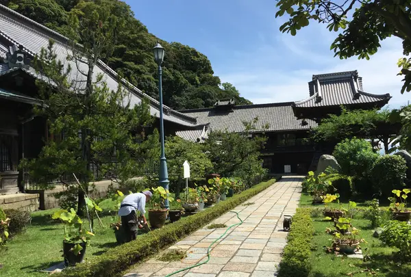 清見興国禅寺 (清見寺)の写真・動画_image_418278