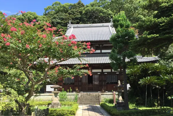 清見興国禅寺 (清見寺)の写真・動画_image_418279