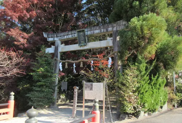 水度神社の写真・動画_image_418294