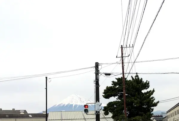 名勝 左富士の写真・動画_image_418523