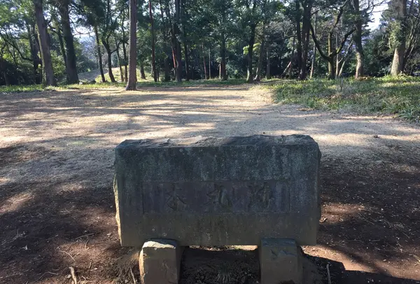 石垣山城 本丸跡の写真・動画_image_418668