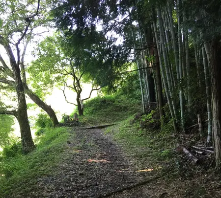 旧東海道宇津ノ谷口の写真・動画_image_419021