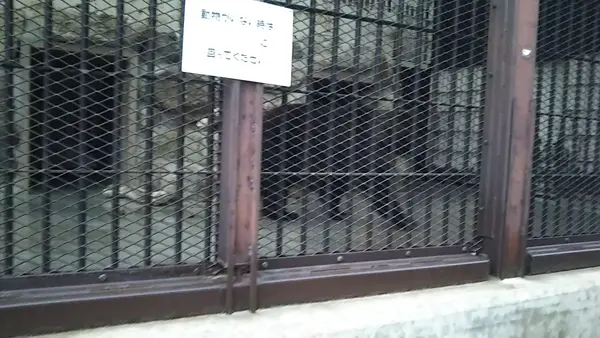 姫路市立動物園の写真・動画_image_420298