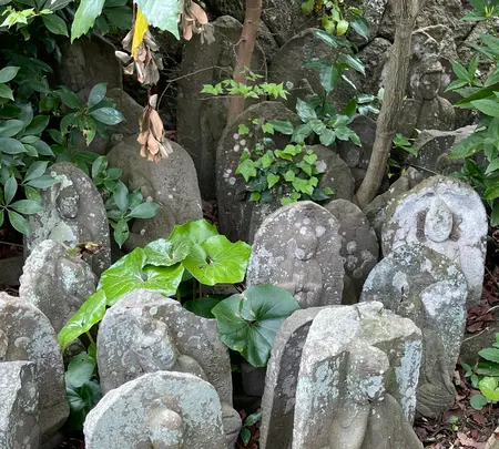 地福寺の写真・動画_image_421528