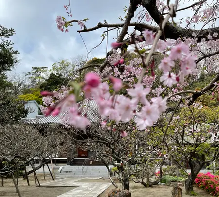 地福寺の写真・動画_image_421531