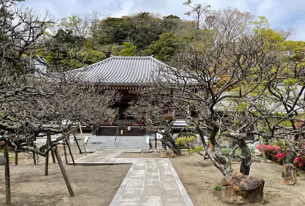 地福寺の写真・動画_image_421533