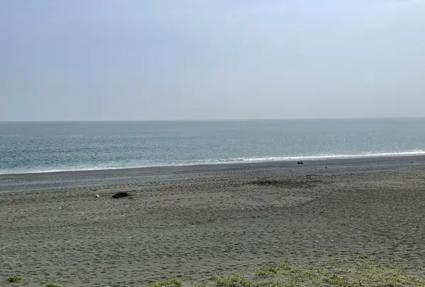 大磯こゆるぎの浜の写真・動画_image_421646