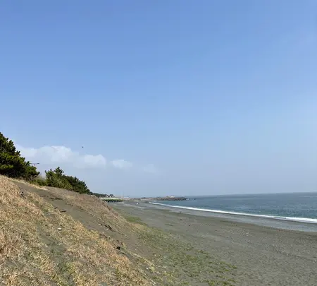 大磯こゆるぎの浜の写真・動画_image_421648