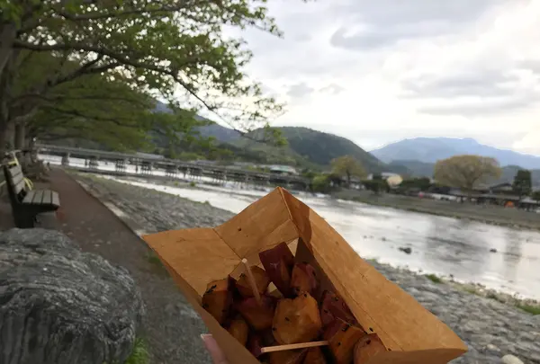 五木茶屋 arashiyama itsukichayaの写真・動画_image_423823