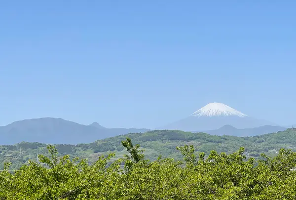 吾妻山公園展望台の写真・動画_image_424879
