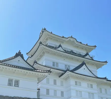 小田原城の写真・動画_image_424925
