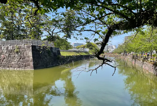 小田原城の写真・動画_image_424934